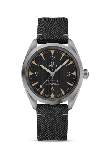 Railmaster Omega Co-Axial Master Chronometer 40 Stainless Steel 